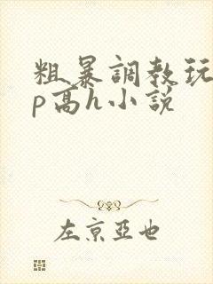 粗暴调教玩弄np高h小说