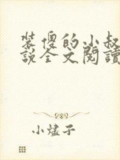 装傻的小叔子小说全文阅读