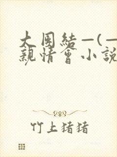 大团结—(—)亲情会小说封面