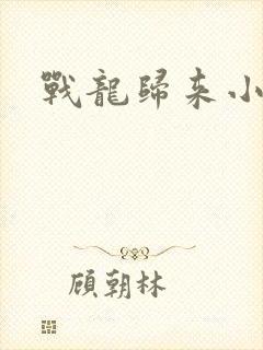 战龙归来小说
