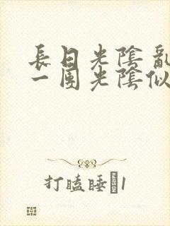 长日光阴 乱作一团光阴似箭封面