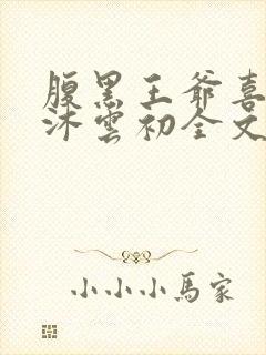 腹黑王爷喜当爹沐云初全文免费阅读