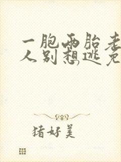 一胞两胎老婆大人别想逃免费阅读封面