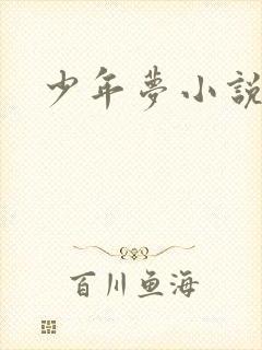 少年梦小说