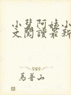 小慧阿姨小辉全文阅读最新章节更新时间