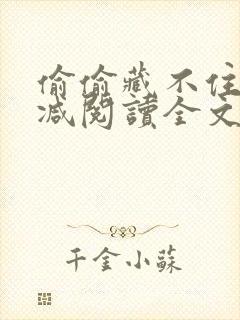 偷偷藏不住无删减阅读全文封面