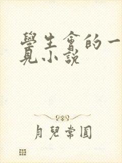 学生会的一己之见小说