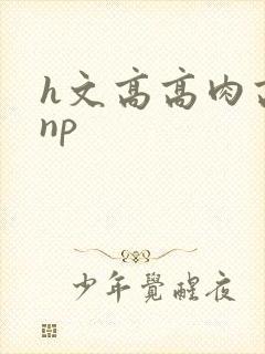 h文高高肉高辣np