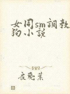 女同sm调教母狗小说
