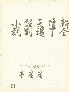 小说天价新娘总裁别追了全文封面
