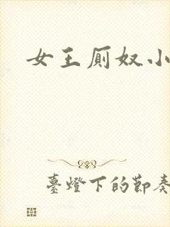 女王厕奴小说封面