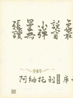 张曼小说免费阅读无弹窗最新章节封面
