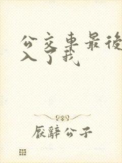 公交车最后一排入了我