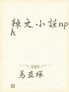 辣文小说np高h