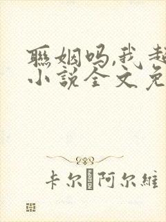 联姻吗,我超甜小说全文免费阅读