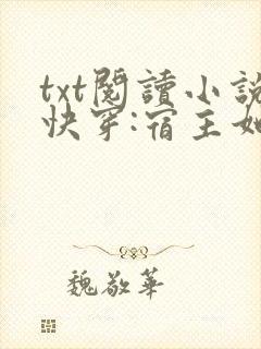 txt阅读小说快穿:宿主她是撩人精