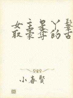 女主是丫鬟被强取豪夺的古言封面