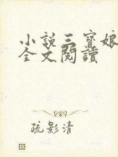 小说三宝娘二姐全文阅读