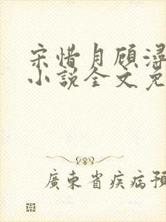 宋惜月顾浔渊的小说全文免费阅读