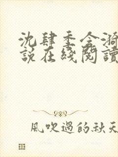 沈肆季含漪的小说在线阅读封面