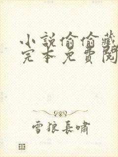 小说偷偷藏不住完本免费阅读