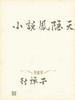 小说凤隐天下封面