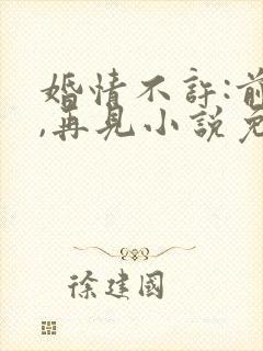 婚情不许:前夫,再见小说免费阅读