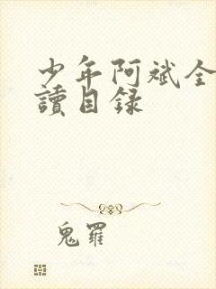 少年阿斌全文阅读目录