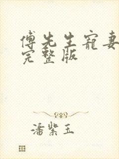 傅先生宠妻无度完整版