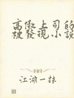 高傲上司的秘密被发现小说免费阅读