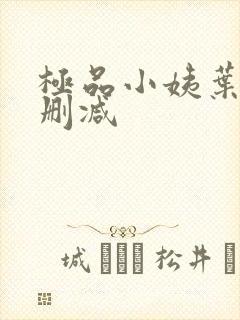极品小姨叶凡无删减