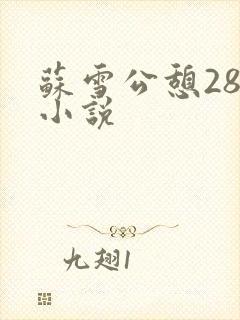 苏雪公憩28篇小说