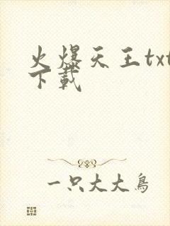 火爆天王txt下载
