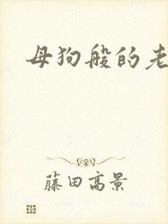 母狗般的老师封面