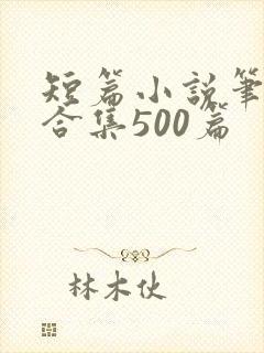 短篇小说笔趣阁合集500篇