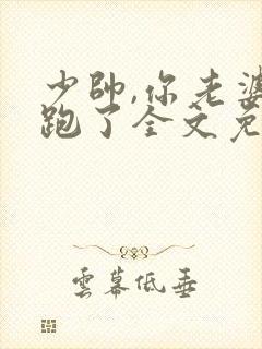 少帅,你老婆又跑了全文免费阅读