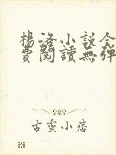 杨洛小说全文免费阅读无弹窗最新章节