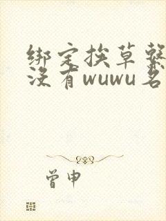 绑定挨草系统后没有wuwu名字封面