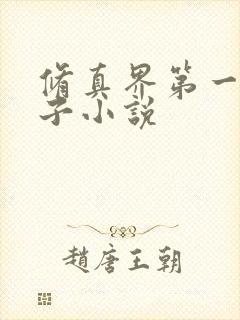 修真界第一病秧子小说