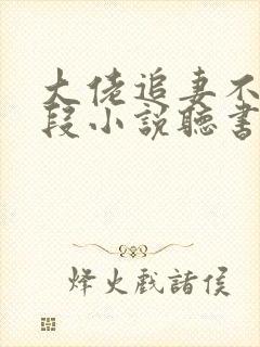 大佬追妻不择手段小说听书