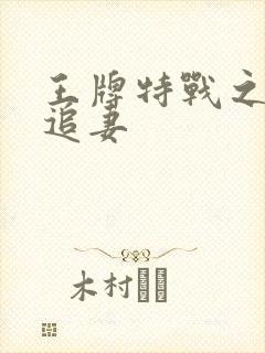 王牌特战之军少追妻封面