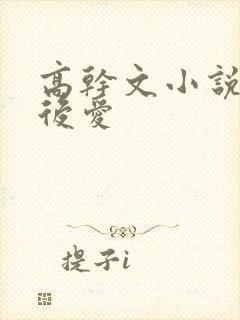 高干文小说先婚后爱