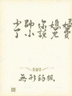 少帅你媳妇又跑了小说免费阅读
