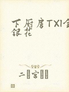 下厨房TXl金银花封面