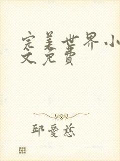 完美世界小说全文免费封面