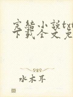 完结小说txt下载全文免费下载封面