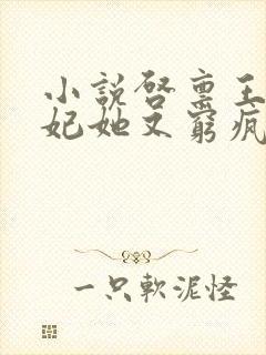 小说启禀王爷王妃她又穷疯了免费阅读