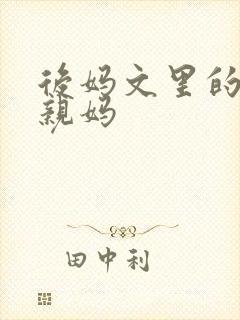 后妈文里的反派亲妈