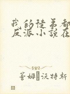 我的徒弟都是大反派小说在线收听