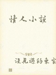 情人小说